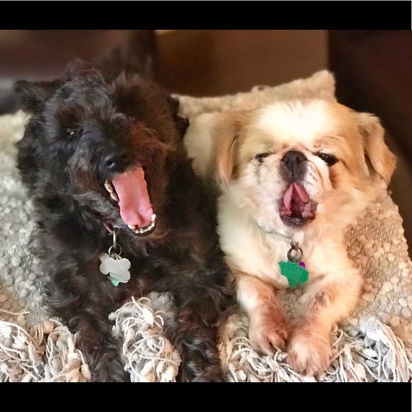 Hi! I’m Amy 🌸 - Picture 3 of 4